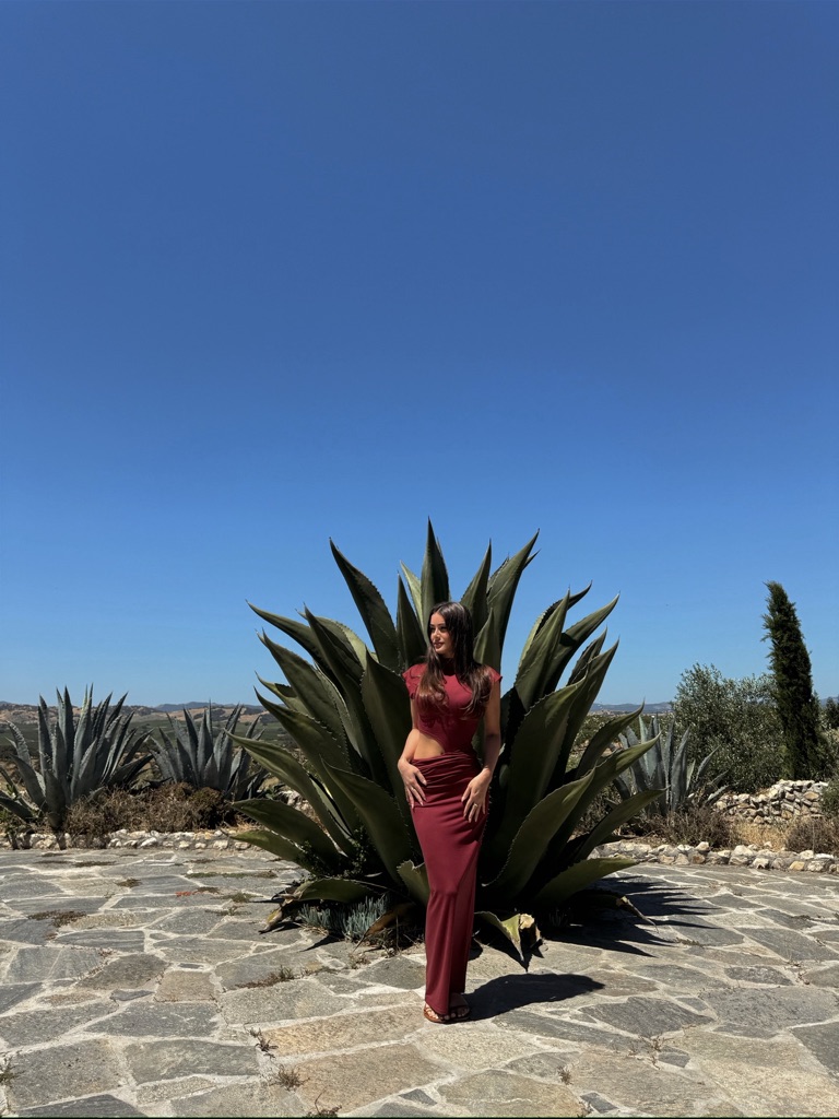 Burgundy Reformation Kiana Knit Cut Out Gown